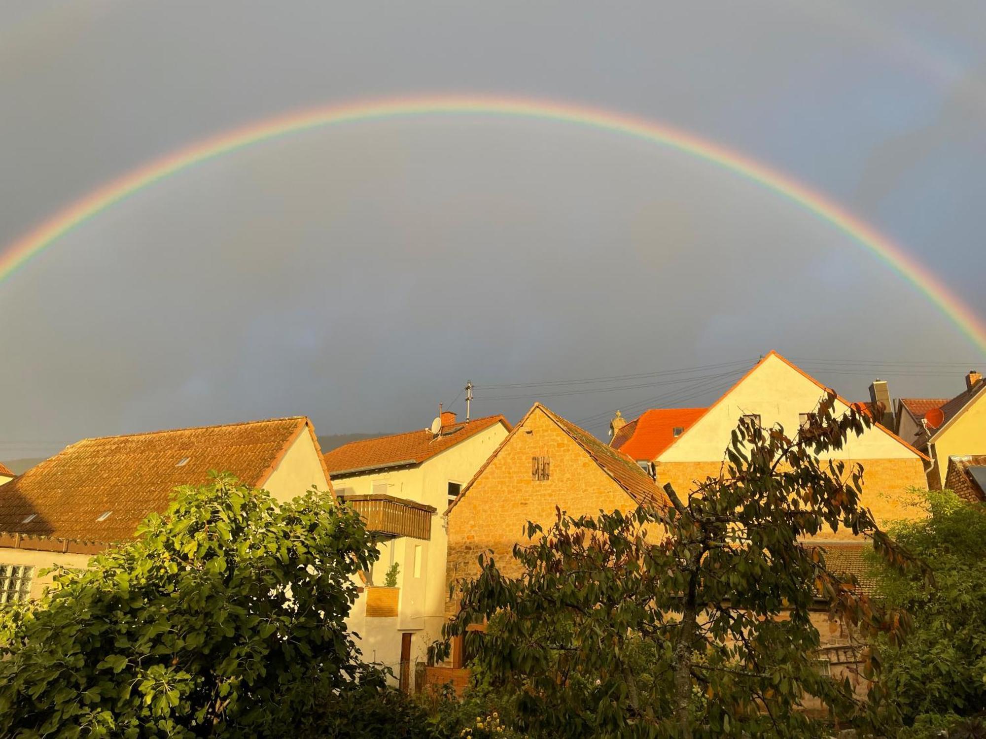 Pfalz-Dorfhaus Burrweiler Dış mekan fotoğraf