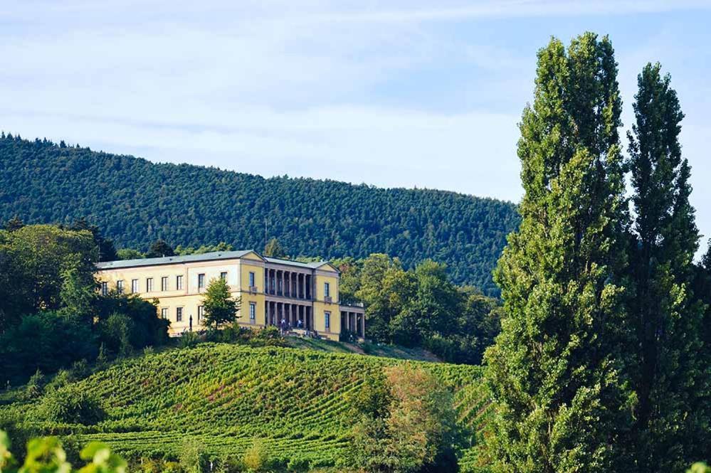 Pfalz-Dorfhaus Burrweiler Dış mekan fotoğraf